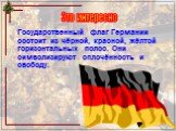 Государственный флаг Германии состоит из чёрной, красной, жёлтой горизонтальных полос. Они символизируют сплочённость и свободу. Это интересно
