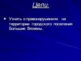 Цели: Узнать о правонарушениях на территории городского поселения Большие Вяземы.