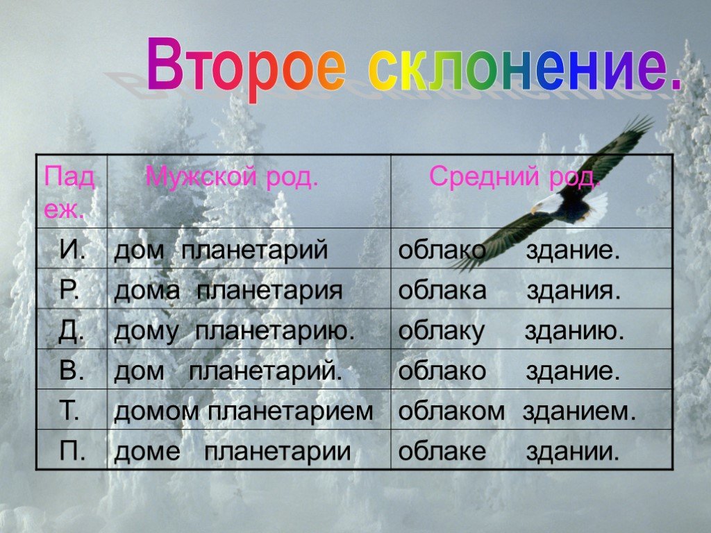 Склонение слова род. 2 Склонение. Второе склонение мужской род. Слова 2 склонения мужского рода. Второе склонение средний род.