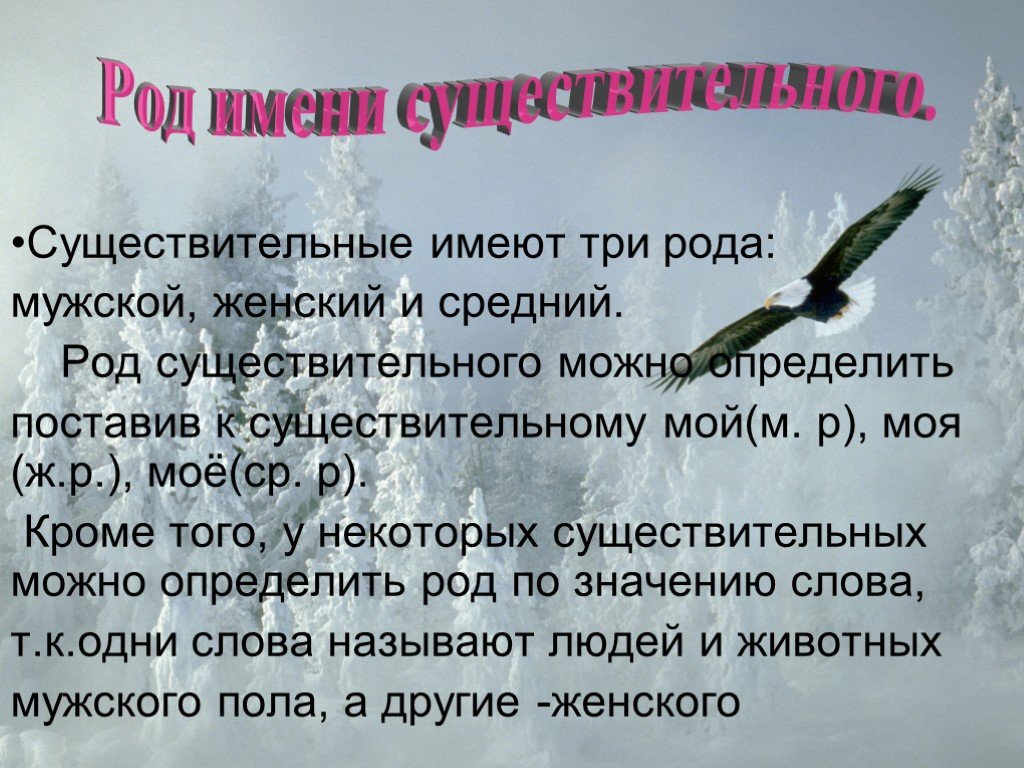 2 предложения с мужским родом. Почему птица ж.р а пигвин мужской род.