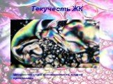 Текучесть ЖК. Шлирен-текстура в нематических жидких кристаллах