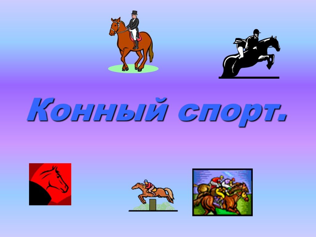 Конный спорт проект