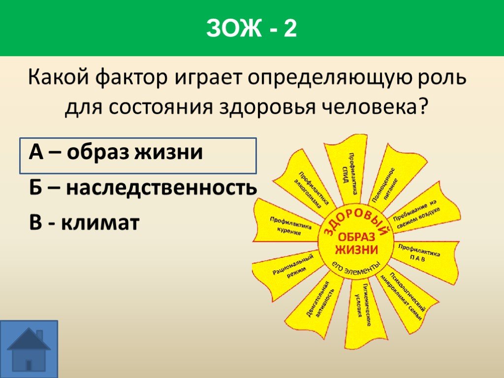 Викторина по физической культуре 2 класс презентация