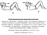 Растягивание задних мышц шеи и затылка. Положение лежа на спине с согнутыми ногами, разведенными на ширину плеч. Руками, сцепленными за головой, подтягивать голову вверх и вперед, пока не наступит ощутимое растягивание (а), держать 15-20 сек. После отдыха 15-30 сек. выполнить это упражнение, но одно