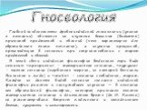 Главной особенностью древнеиндийской гносеологии (учения о познании) является не изучение внешних (видимых) признаков предметов и явлений (что характерно для европейского типа познания), а изучение процессов, происходящих в сознании при соприкосновении с миром предметов и явлений. В этой связи индий