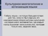 Гибель языка - не только большая потеря для тех, кому он был родным, это невозвратимая потеря частички культурного наследия всего человечества, где каждый народ выражает свое уникальное, присущее только ему, видение мира.