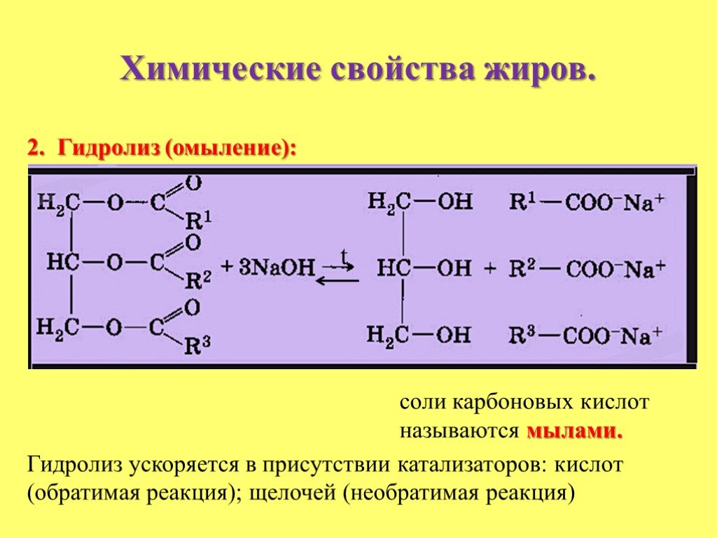Реакция образования жира. Щелочной гидролиз жира c15h31. Реакция щелочного гидролиза жиров. Химия. Реакция гидролиза жиров. Уравнение реакции гидролиза жиров формула.