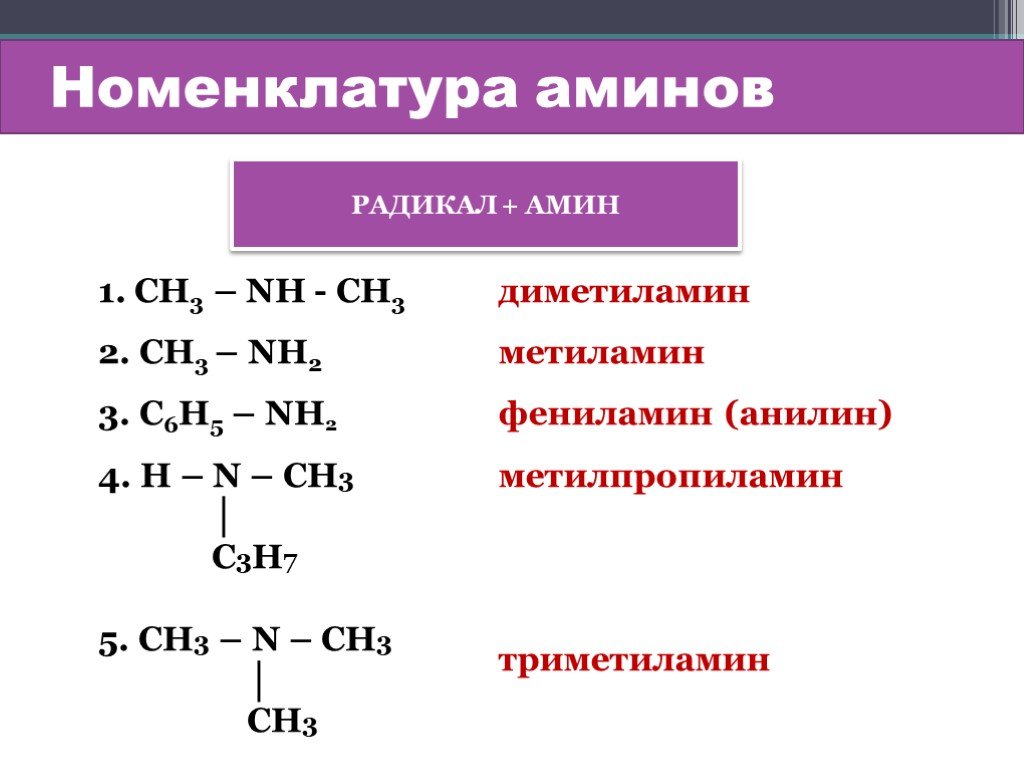 Амины являются соединениями. Амины номенклатура ИЮПАК. Амины химия 10 класс номенклатура. Амины формулы структура. Номенклатура названия Аминов.