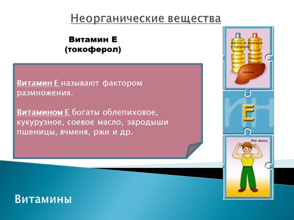 Презентация товароведение продовольственных товаров