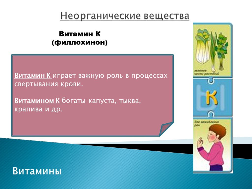 Играет важную роль в процессах. Витамины это неорганические вещества. Витамины Товароведение. Неорганические вещества в товароведении. Витамины это неорганические соединения.