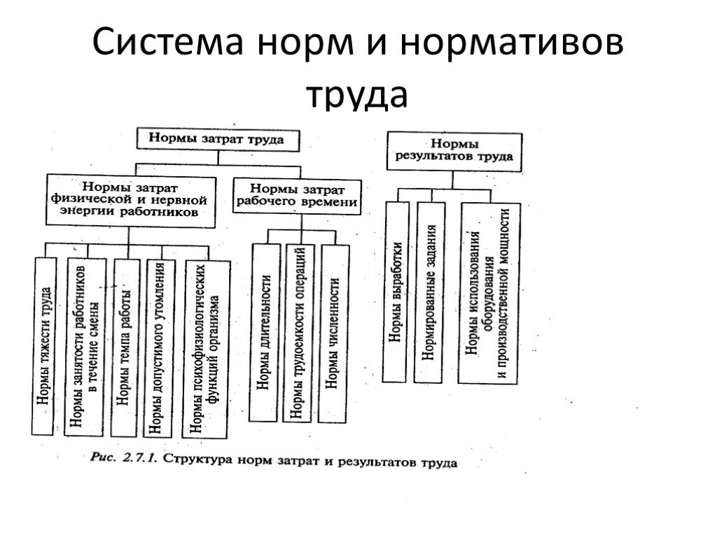 Нормы труда. Нормирование труда система трудовых нормативов. Составляющие системы норм труда. 24. Система норм и нормативов труда. В систему норм труда включаются.