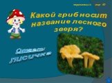 окружающий мир 40. Какой гриб носит название лесного зверя? Ответ: лисичка