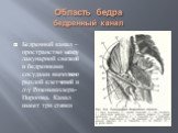 Область бедра бедренный канал. Бедренный канал – пространство между лакунарной связкой и бедренными сосудами выполнено рыхлой клетчаткой и л\у Розенмюллера-Пирогова. Канал имеет три стенки