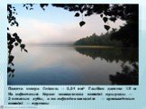 Плошча возера Свіцязь — 2,24 км². Глыбіня дасягае 15 м. На паўночным беразе знаходзяцца помнікі прыроды — 2 векавыя дубы, а на паўднёва-заходнім — археалагічныя помнікі — курганы.