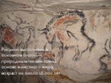 Рисунки выполнены в основном охрой — природным пигментом на основе животного жира, возраст их около 18 000 лет