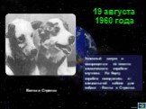 Успешный запуск и возвращение на землю космического корабля-спутника. На борту корабля находились в специальной кабине две собаки - Белка и Стрелка. 19 августа 1960 года Белка и Стрелка