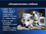 «Космические» собаки. 3 ноября 1957 — первый полёт в космос живого существа на корабле «Спутник-2», собака Лайка. 19 августа 1960 — на корабле «Спутник-5» полёт в космос совершили собаки Белка и Стрелка.