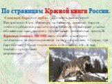 Снежный барс, или ирбис, - обитатель высокогорий Центральной Азии. Несмотря на название, снежный барс не любит глубокого и рыхлого снега. Обычно он выбирает участки обнажённых скал, а в снегу протаптывает постоянные тропы. В Красных списках МСОП зверь отнесён к категории исчезающих видов и охраняетс