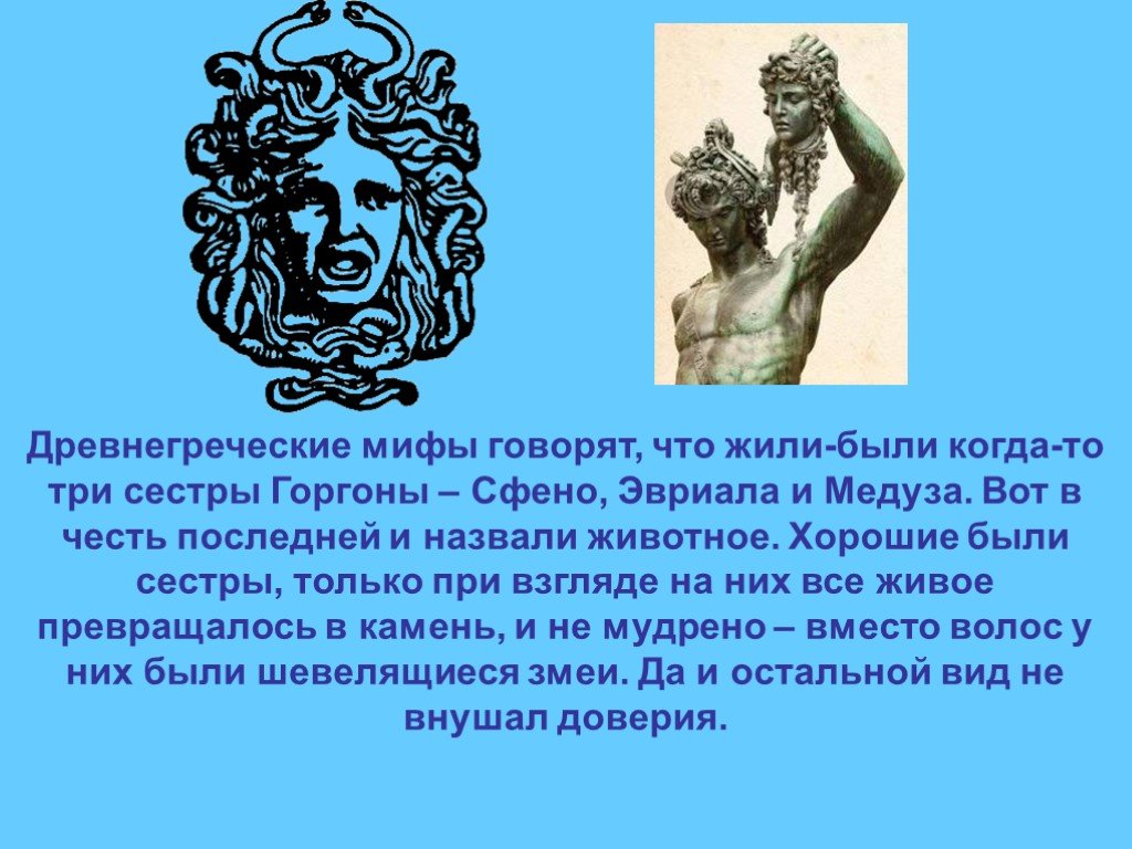 Проект мифы греции
