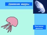 Движение медузы. Реактивное движение