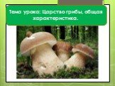 Тема урока: Царство грибы, общая характеристика.