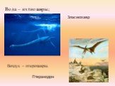 Вода – ихтиозавры; Эласмозавр. Воздух – птерозавры. Птеранодон