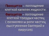 Пиноцитоз – поглощение клеткой капелек жидкости. Фагоцитоз – поглощение клеткой твердых частиц ( возможно ы роли частиц выступление бактерий и вирусов)