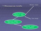 Образование тромба. Ранение или порез Фибриноген - белок. Кислород воздуха Соли кальция. Образование фибрина – нерастворимого белка. Образование тромба – кровь свернулась