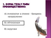 1. Форма тела у рыбы преимущественно: А) сплюснутая в спинно - брюшном направлении Б) обтекаемая В) округлая