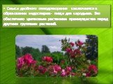 Смысл двойного оплодотворения заключается в образовании эндосперма- пищи для зародыша. Это обеспечило цветковым растениям преимущества перед другими группами растений.