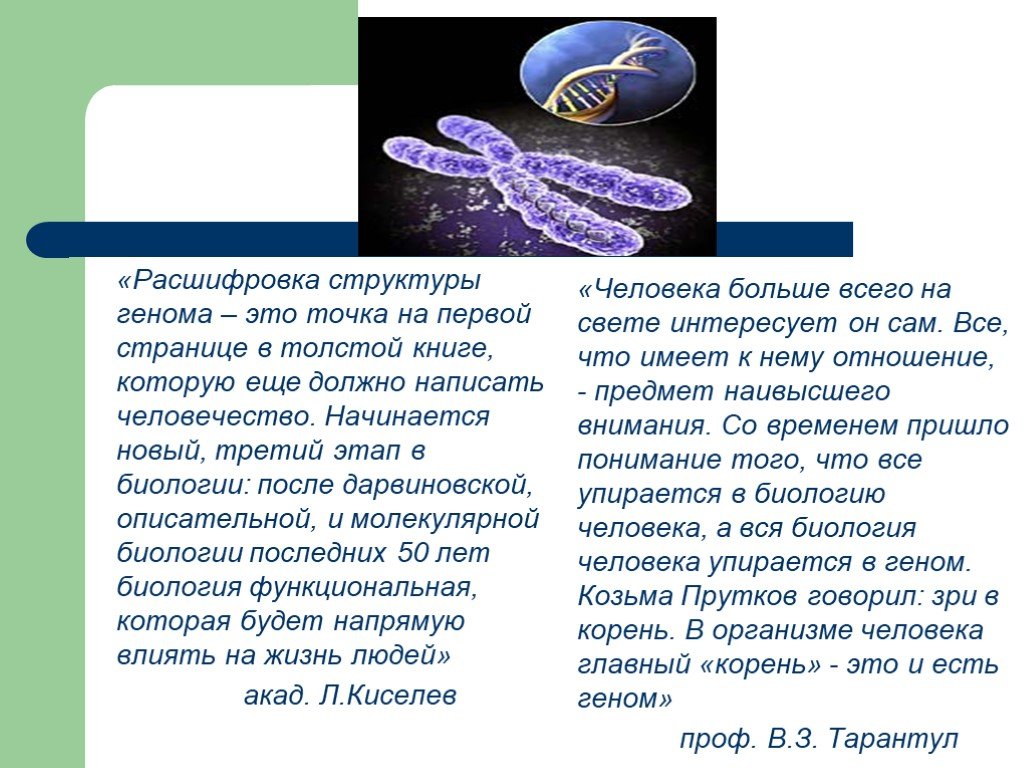 Генетика проект по биологии 9 класс