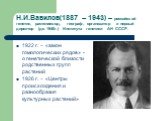 Н.И.Вавилов(1887 – 1943) – российский генетик, растениевод, географ, организатор и первый директор (до 1940г.) Института генетики АН СССР. 1922 г. – «закон гомологических рядов» - о генетической близости родственных групп растений 1926 г. – «Центры происхождения и разнообразия культурных растений»