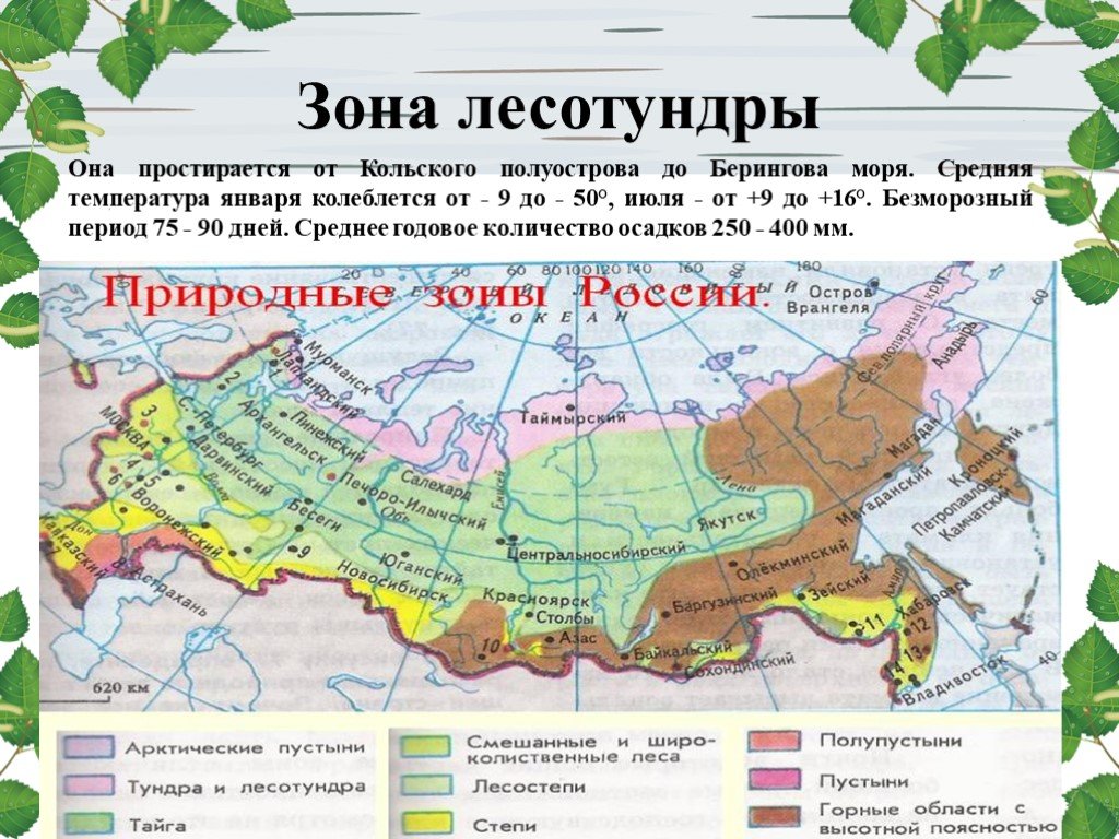 Зона тундры расположена между зоной и зоной. Географическое положение лесотундры в России на карте. Тундра и лесотундра географическое положение в России на карте. Зона лесотундры на карте России. Зона лесотундры на карте.