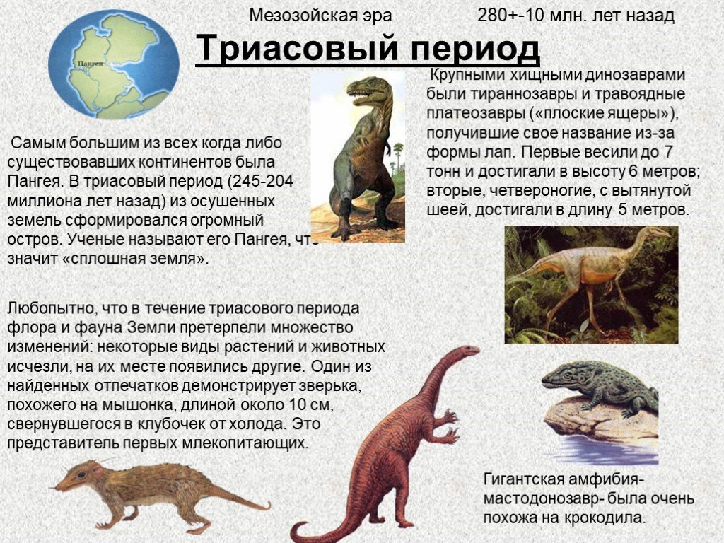 Мезозойская группа. Триасовый период мезозойской эры животные. Триас растения и животные. Представители Флоры и фауны Триасового периода. Триасовый период мезозойской эры динозавры.