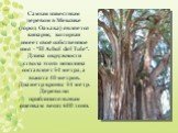 Самым известным деревом в Мексике (город Оахака) является кипарис, который имеет своё собственное имя - "El Arbol del Tule". Длина окружности ствола этого исполина составляет 54 метра, а высота 40 метров. Диаметр кроны 51 метр. Дерево по приблизительным оценкам весит 600 тонн.