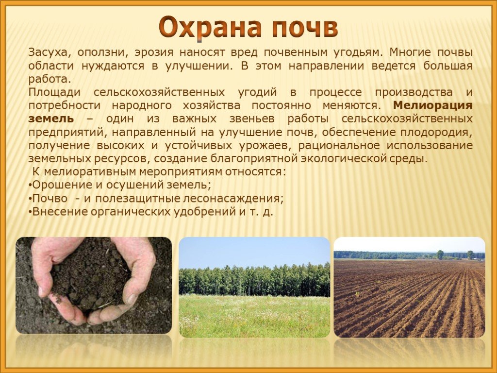 Какой грунт в ростовской области. Почвы Ростовской области 8 класс. Защита почвы. Защита и охрана почв. Сообщение охрана почвы.