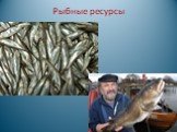 Рыбные ресурсы
