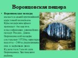 Воронцовская пещера. Воронцовская пещера является самой протяжённой карстовой полостью в Краснодарском крае и занимает 6-е место в классификации длиннейших пещер России. Длина Воронцовской пещеры составляет 11720м, перепады высоты - 240 м. расположена она в верховьях реки Кудепсты в 3 км от села Вор