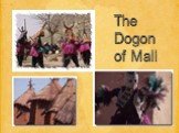 The Dogon of Mali