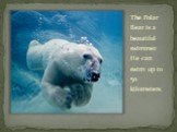 The Polar Bear is a beautiful swimmer. He can swim up to 50 kilometers.