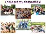 These are my classmates 