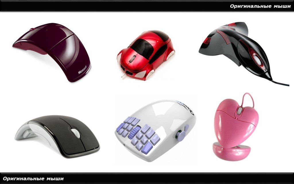 Какие типы мышей. Форма компьютерной мыши. Типы компьютерных мышек. Формы компьютерных мышек. Типы мышей для компьютера.