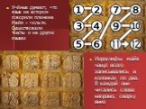 Иероглифы майя чаще всего записывались в колонках по два. В каждой они читались слева направо, сверху вниз. Учёные думают, что язык на котором говорили племена Майя – чольти. Существовали тексты и на других языках