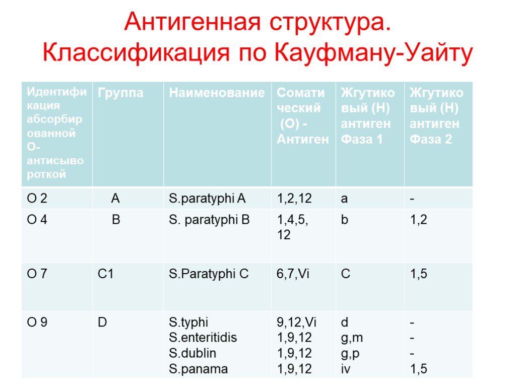 Кауфмана уайта. Сальмонеллы антигенная структура и классификация. Антигенная структура сальмонелл. Сальмонеллы по Кауфману Уайту. Антигенная структура брюшного тифа.