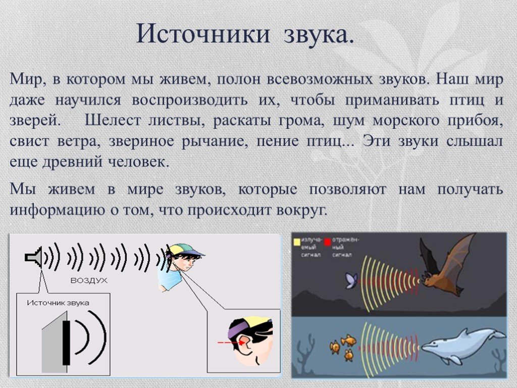 Проект мир звуков