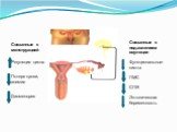 Связанные с менструацией Регуляция цикла Потеря крови, анемия Дисменорея. Связанные с подавлением овуляции Функциональные кисты ПМС СПЯ Эктопическая беременность