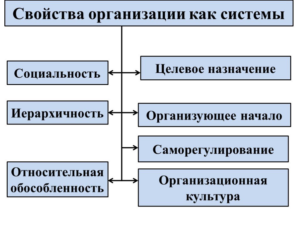 Системные свойства организации