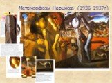 Метаморфозы Нарцисса (1936-1937г)