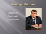 Министр обороны. Сердюков Анатолий Эдуардович