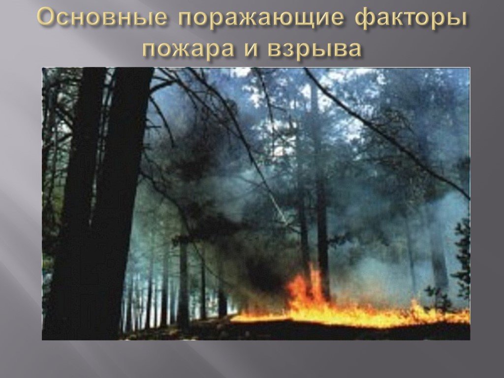 В следствии лесных пожаров. ЧС вызванные пожарами и взрывами. Пожар фото. Взрыв в лесу. Опасные факторы лесного пожара.